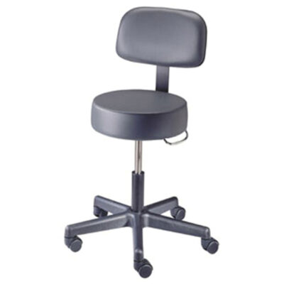 Stool Pneumatic 5-Leg w/Back