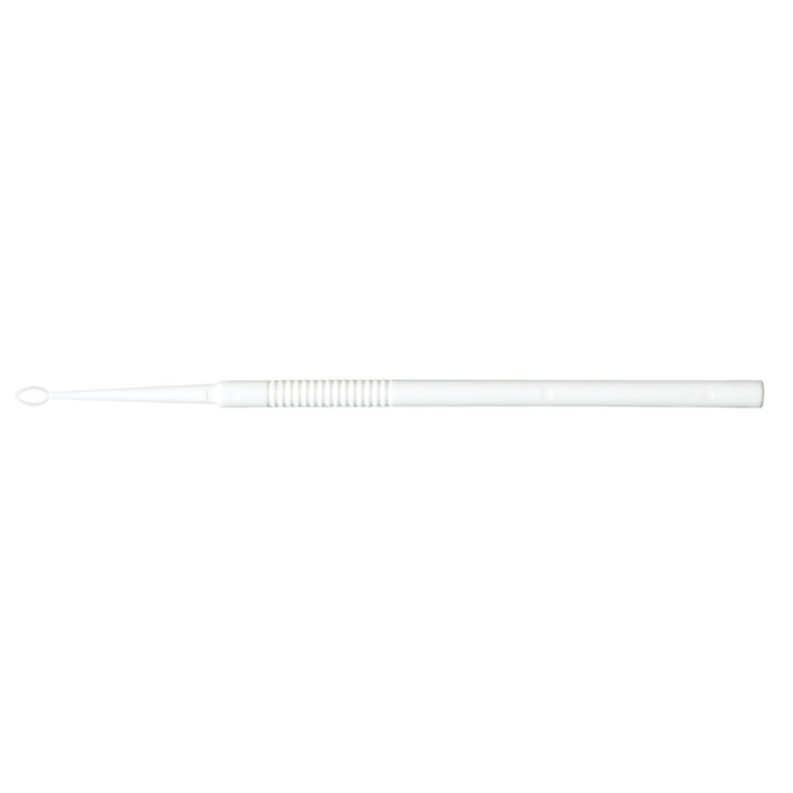 Curette Ear Loop Disp 50/bx